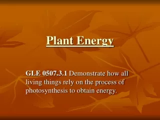 Plant Energy