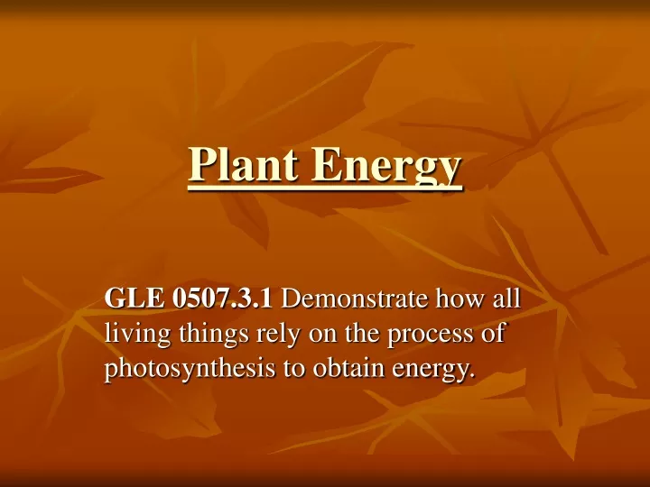 plant energy