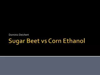 Sugar Beet  vs  Corn Ethanol