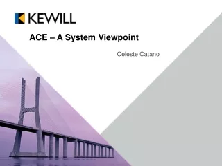 ACE – A System Viewpoint