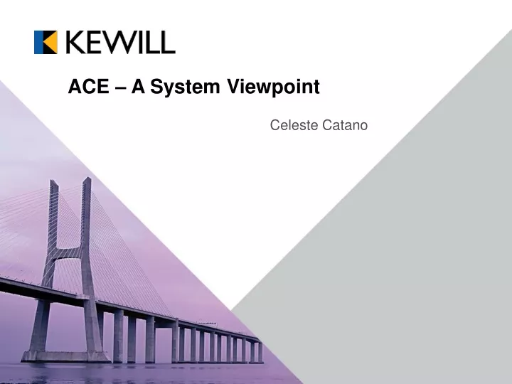 ace a system viewpoint