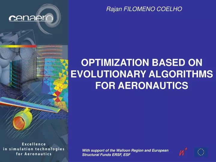 optimization based on evolutionary algorithms for aeronautics