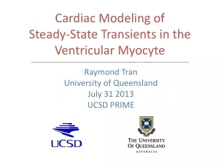 Cardiac Modeling of  Steady-State Transients in the Ventricular Myocyte