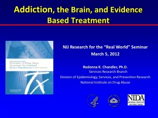 Addiction , the Brain, and Evidence  Based Treatment