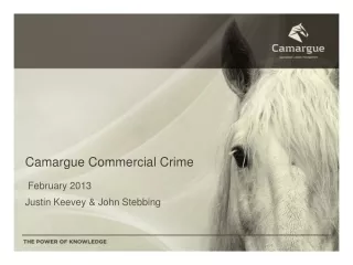 Camargue Commercial Crime