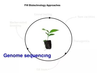 FHI Biotechnology Approaches