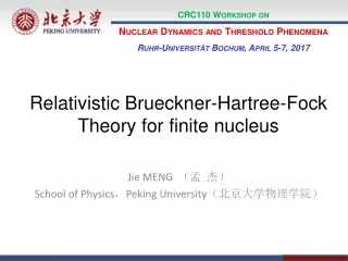 CRC110 Workshop on Nuclear Dynamics and Threshold Phenomena