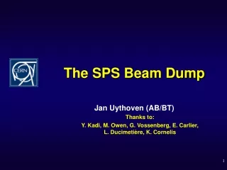 The SPS Beam Dump