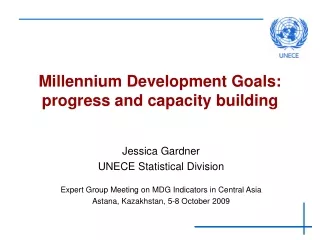 Millennium Development Goals: progress and capacity building