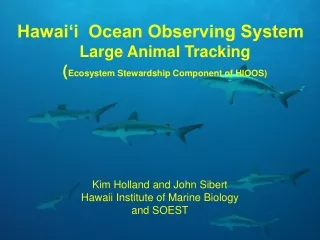 Hawai‘i  Ocean Observing System