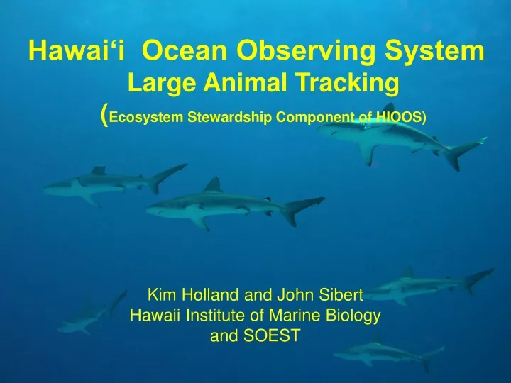 hawai i ocean observing system
