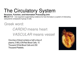 Greek word: CARDIO  means heart VASCULAR  means vessel
