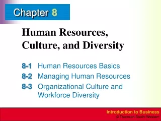 Human Resources, Culture, and Diversity