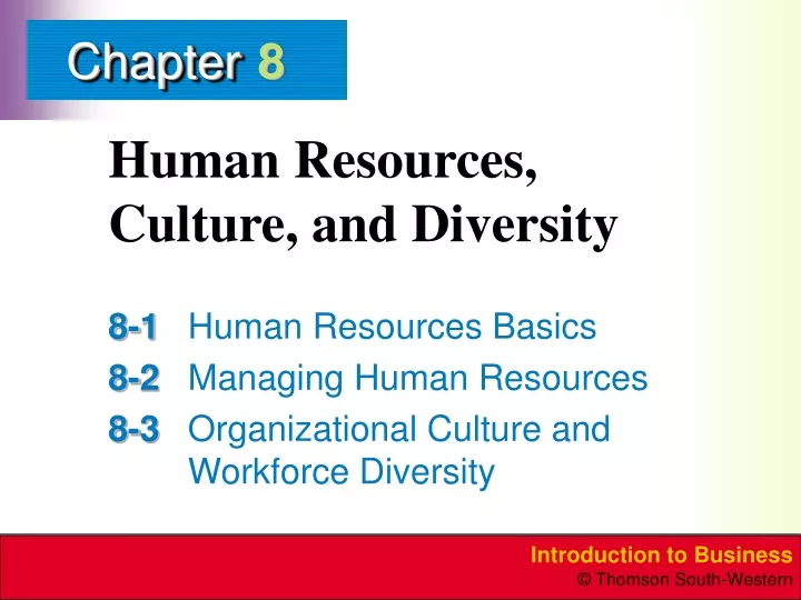 human resources culture and diversity