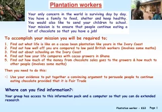 Plantation workers
