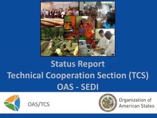 Status Report  Technical Cooperation Section (TCS) OAS - SEDI