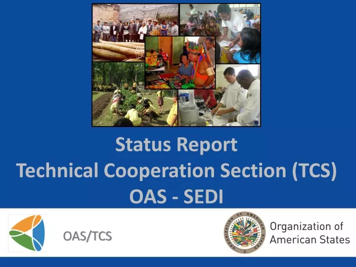 status report technical cooperation section