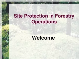Site Protection in Forestry Operations