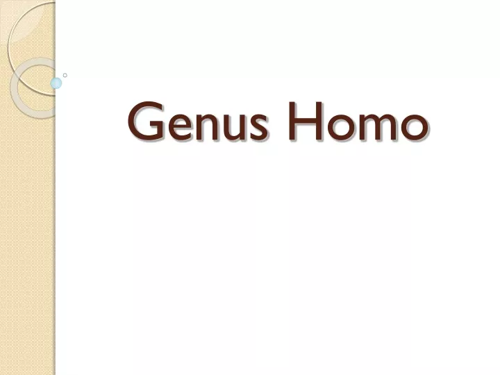 genus homo