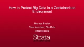 How to Protect Big Data in a Containerized Environment