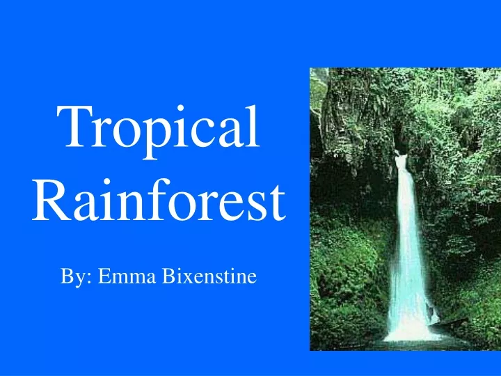 tropical rainforest