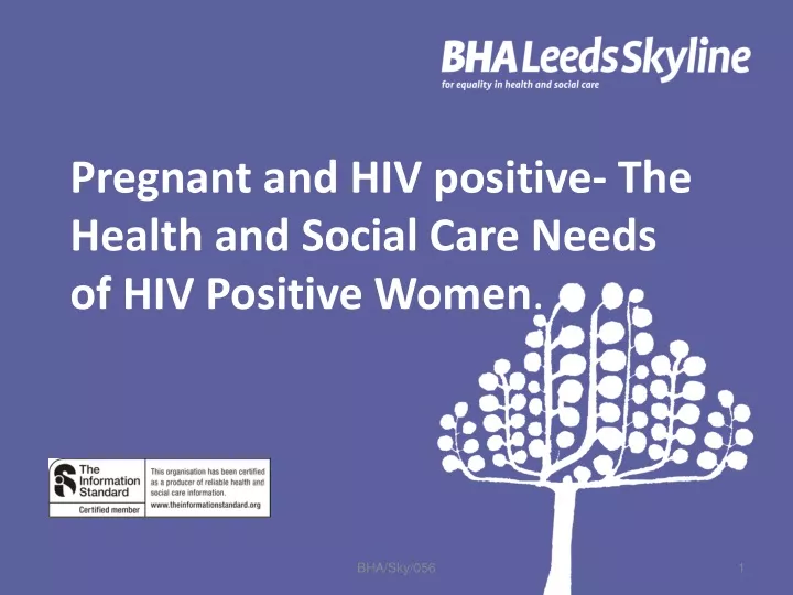 pregnant and hiv positive the health and social care needs of hiv positive women