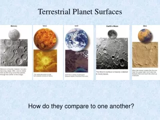 Terrestrial Planet Surfaces
