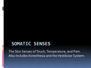Somatic Senses