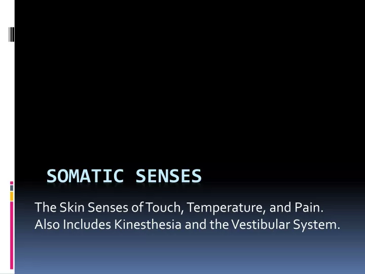 the skin senses of touch temperature and pain also includes kinesthesia and the vestibular system