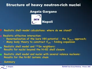 Structure of heavy neutron-rich nuclei Angela Gargano         Napoli