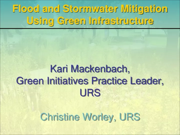 kari mackenbach green initiatives practice leader urs christine worley urs