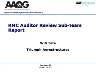 RMC Auditor Review Sub-team Report