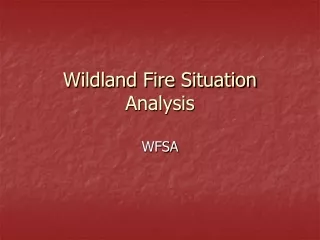 Wildland Fire Situation Analysis