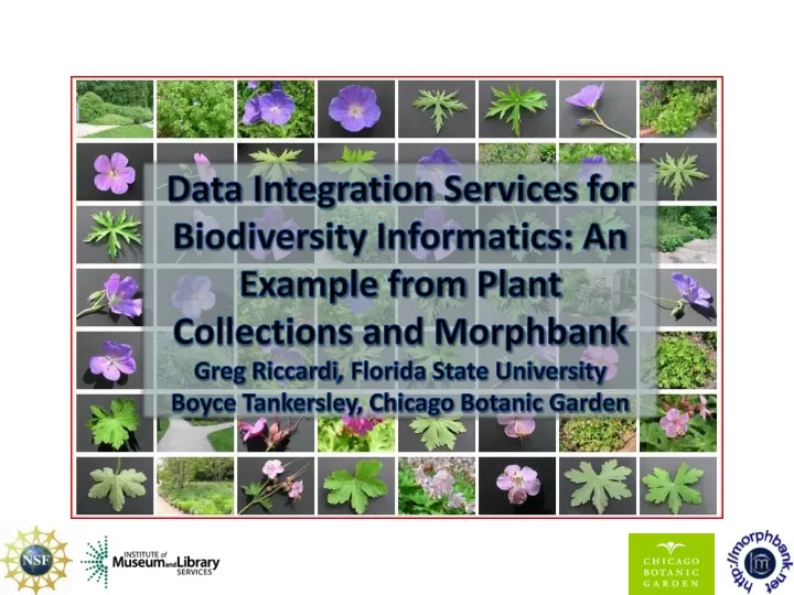 data integration services for biodiversity