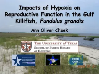 Impacts of Hypoxia on Reproductive Function in the Gulf Killifish,  Fundulus grandis
