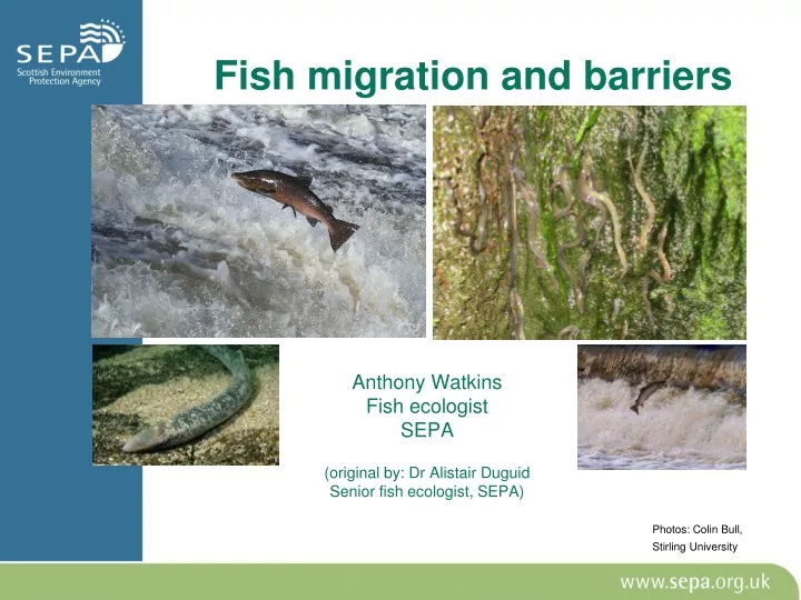 fish migration and barriers