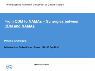 From CDM to NAMAs – Synergies between CDM and NAMAs