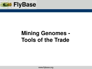 Mining Genomes -  Tools of the Trade