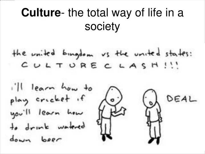 culture the total way of life in a society