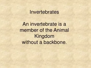 Invertebrates An invertebrate is a member of the Animal Kingdom without a backbone .