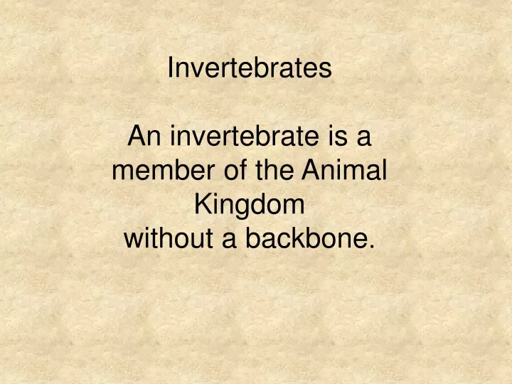 invertebrates an invertebrate is a member