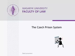 The Czech Prison System