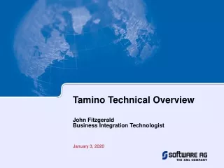 Tamino Technical Overview