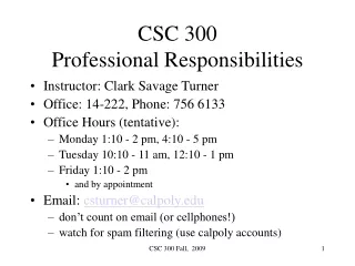 CSC 300 Professional Responsibilities
