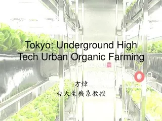 Tokyo: Underground High Tech Urban Organic Farming