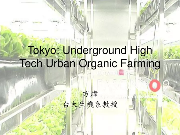 tokyo underground high tech urban organic farming