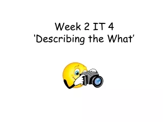 Week 2 IT 4 ‘Describing the What’