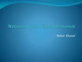 National Human Rights Mechanism