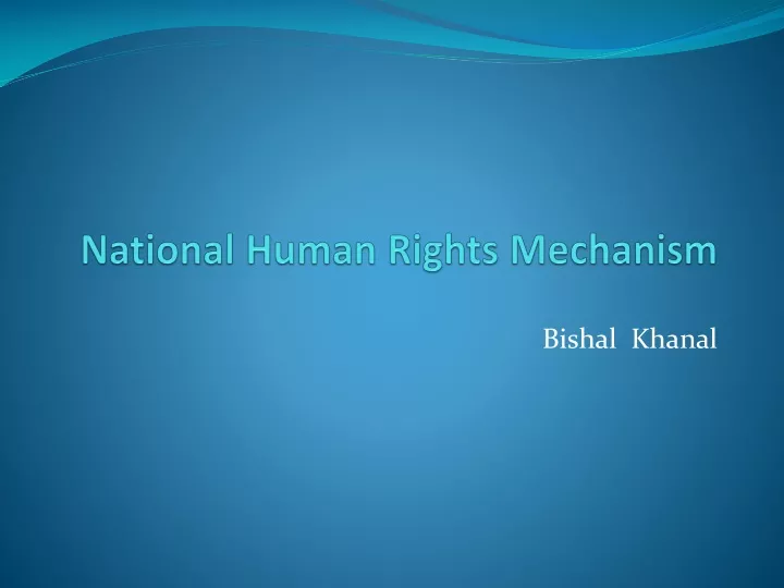 national human rights mechanism