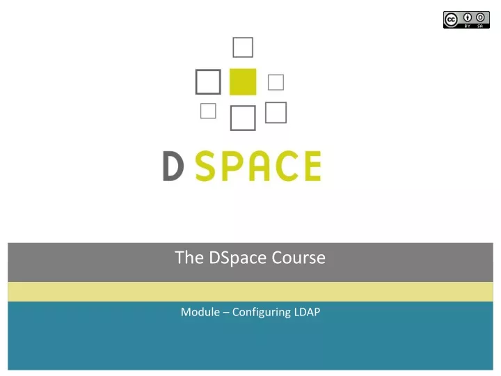 the dspace course